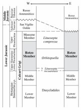 Suddivisione stratigrafica dei Calcari Grigi