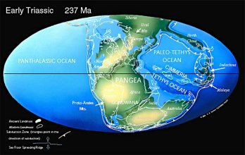La Terra durante il Triassico inferiore